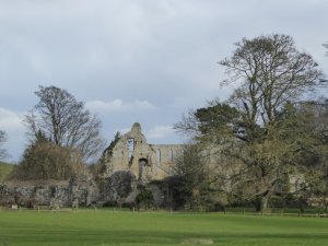 The ruins of Jervaulx.