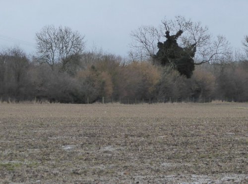 Our allotments-to-be.