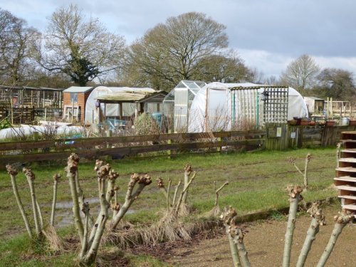 AllotmentsBoroughbridgeMarch2016 013