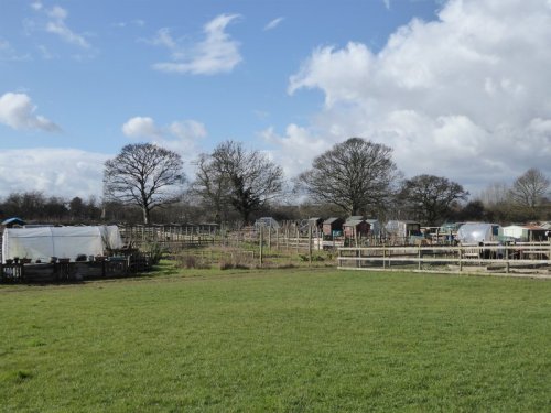 Six years ago, this was a field as unpromising as ours. There's hope, then.