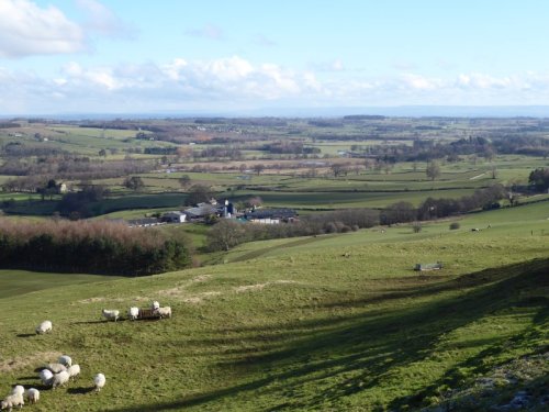 EastWitton28Feb2016 006