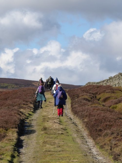 EastWitton28Feb2016 014