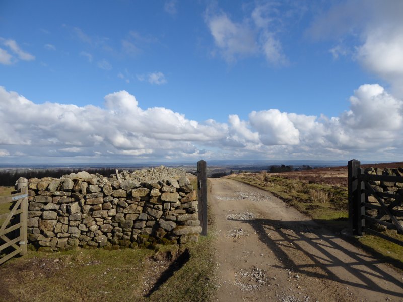EastWitton28Feb2016 018