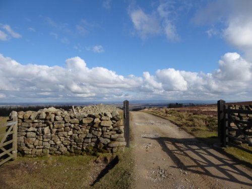 EastWitton28Feb2016 018