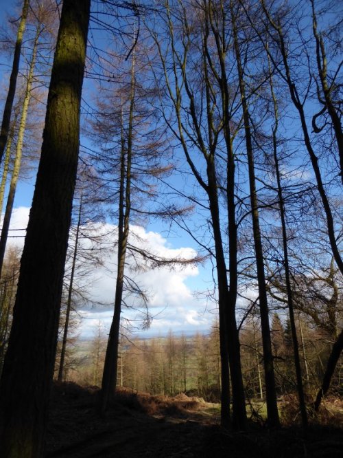 EastWitton28Feb2016 028