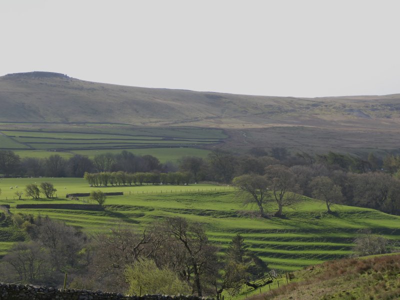 The walk begins as we leave Carlton.