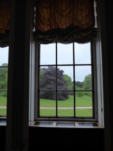 A quick glance at the grounds from the library.