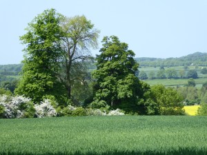 Still on the road to Sleningford.