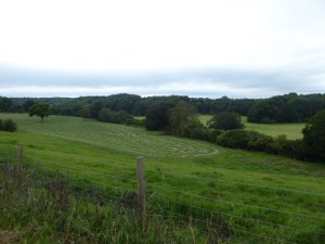 This was the scenery of the early part of the walk.