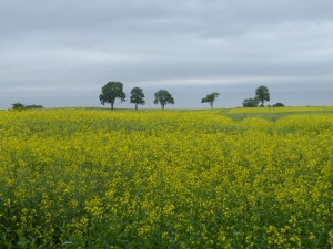 This is farming country.