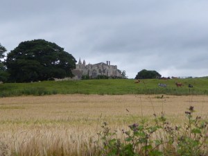 We saw Markenfield Hall nearby as we walked. The Jarrow marchers didn't.