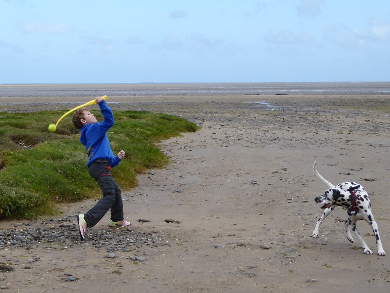 Anglesey&amp;ShropshireAugust2016 008