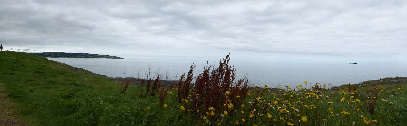 Anglesey&ShropshireAugust2016 141