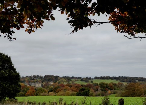Bretton Hall and its surrounding parkland.