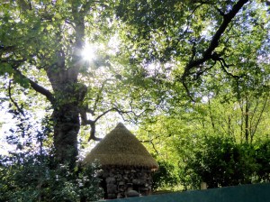 If you wanted an afternoon alone with your thoughts, your sketchpad or your book, this thatched hermitage was just the place