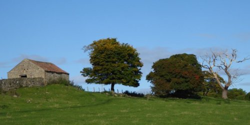 mashamwalkoct2016-014