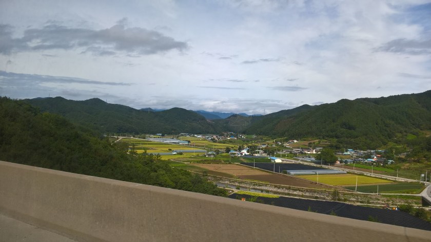 wp_20161002_11_20_07_pro_li