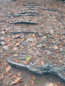 Hemali Bhuta's 'Speed Breakers'. 