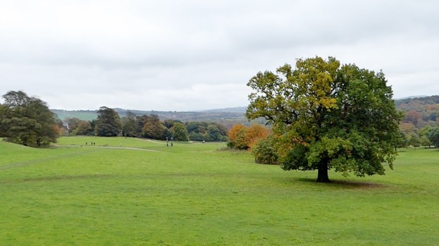 Parkland at YSP with distant sculpture.