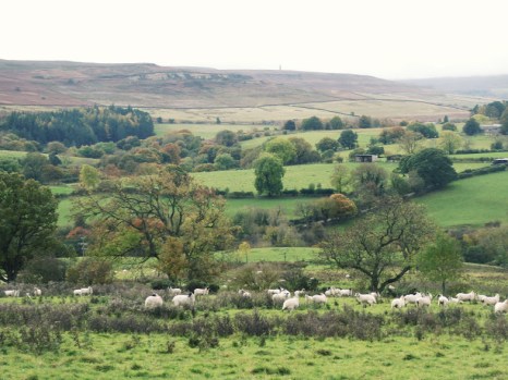 Colsterdale