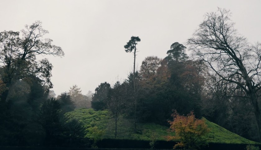 The woodland surrounding Studley Royal.