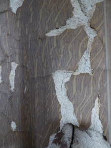 Behind the scenes. Imitation woodwork in need of restoration.