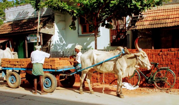 A delivery from the builder's Yard