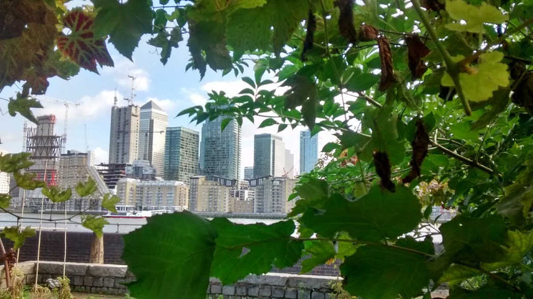 IMG_20171003_104718386_HDR