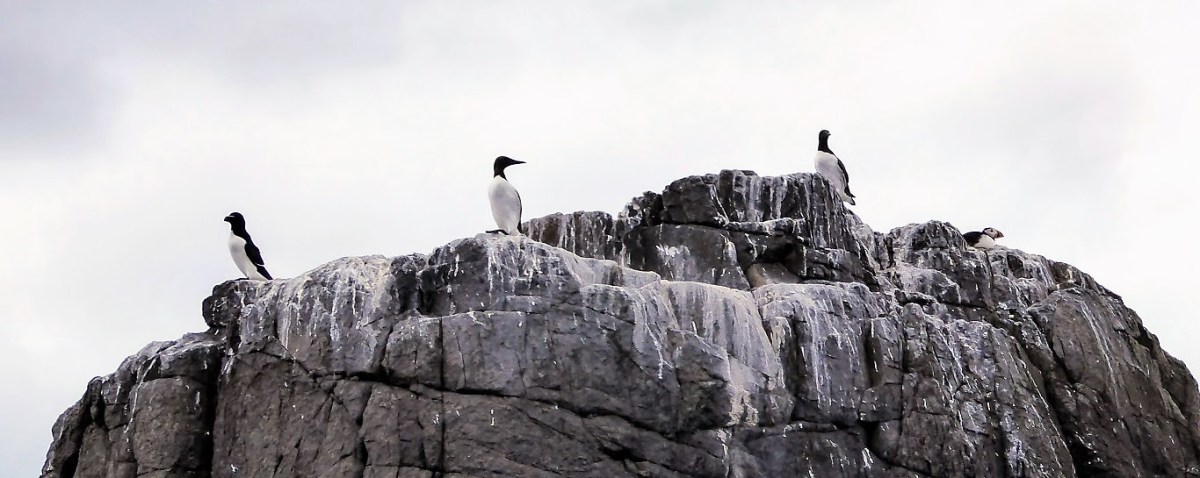 ‘Beside the Seaside, Beside the&nbsp;Sea’