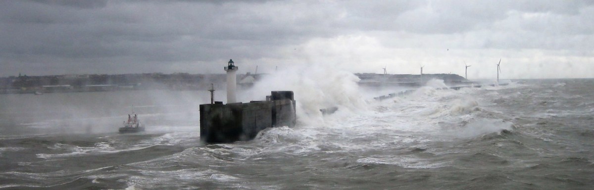 Life on the Ocean Wave: the good and the&nbsp;bad