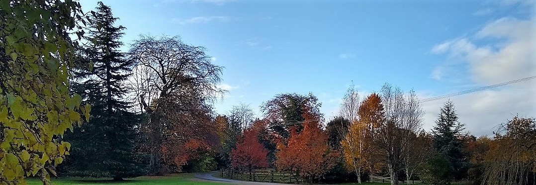 My kind of&nbsp;shopping