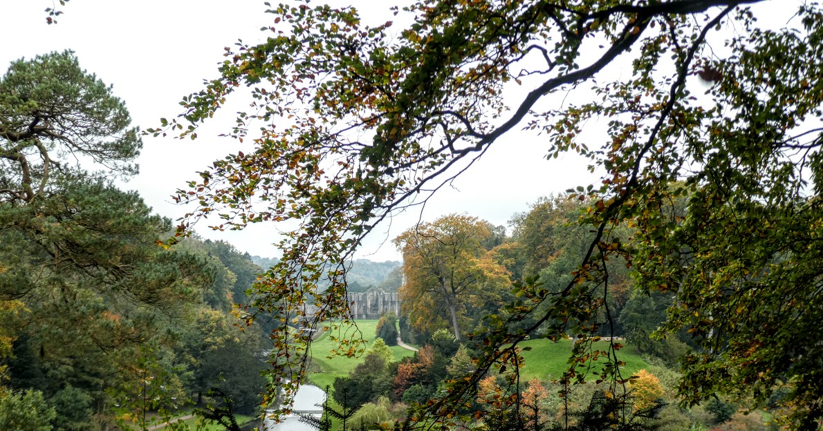 Squirrel in a&nbsp;Tizz.