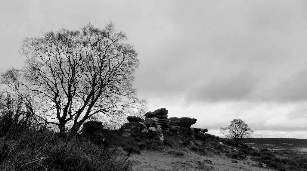 Postcards of a drystone wall – or&nbsp;two