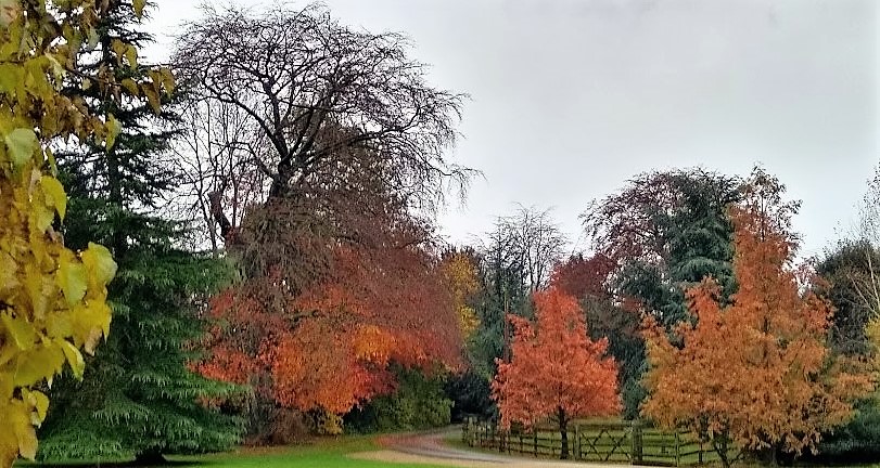 Two views from a&nbsp;window