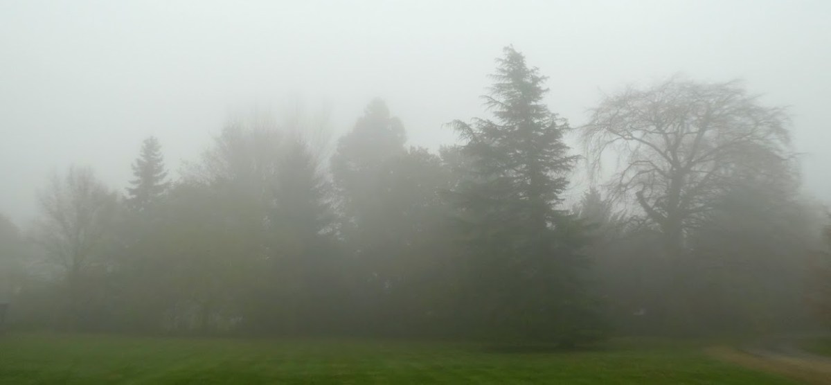 One Misty Moisty Morning&nbsp;…