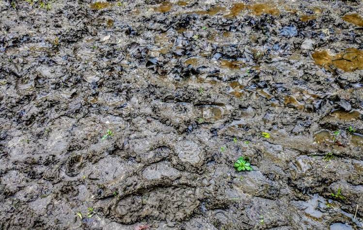 Get Up and Go in the New&nbsp;Year!