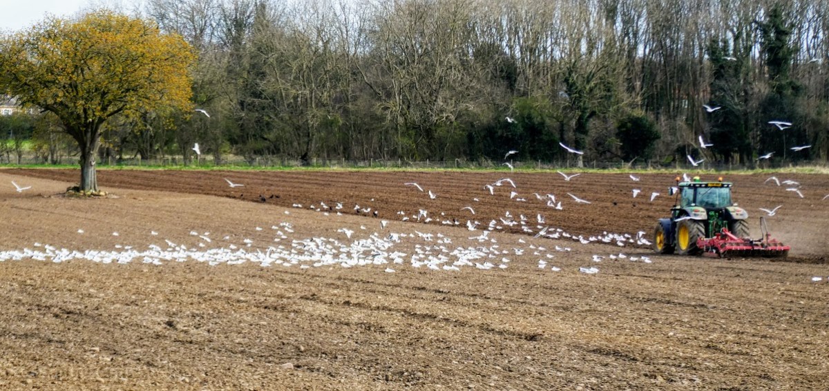 When Life with Covid-19 was Still a&nbsp;Novelty