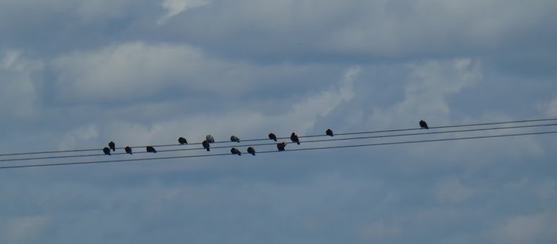 Up here, I’m the King of the&nbsp;Castle