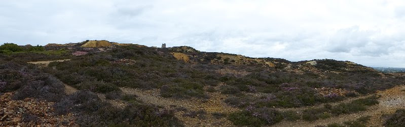 Let’s Get Wild on Parys&nbsp;Mountain