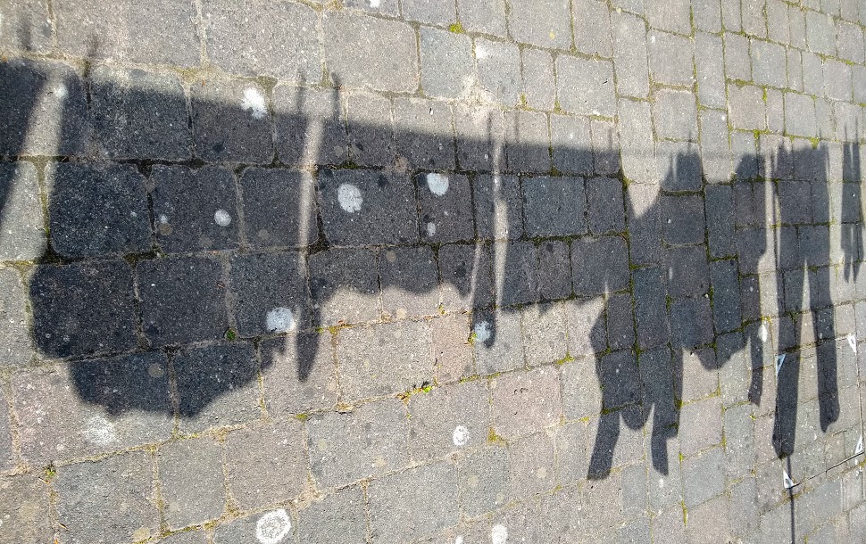 Mere shadows of themselves&nbsp;….