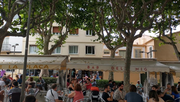 A History of a Holiday in Fifteen Trees –&nbsp;Seven