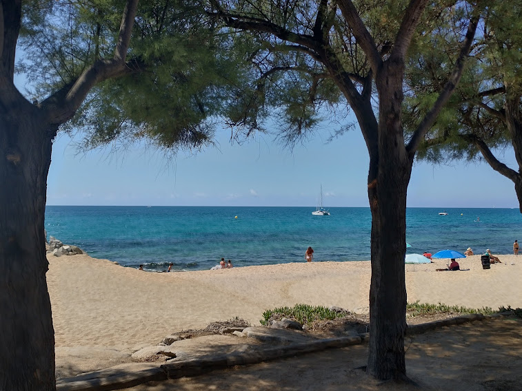 A History of a Holiday in Fifteen Trees and Twenty&nbsp;Blues