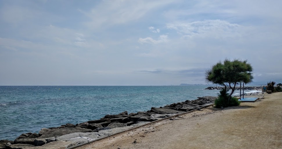 A History of a Holiday in Fifteen Trees –&nbsp;Three