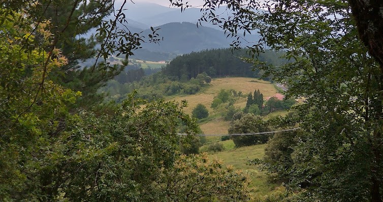 A History of a Holiday in Fifteen Trees –&nbsp;fourteen