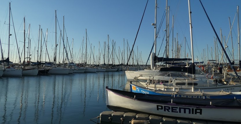 A History of a Holiday in Fifteen Trees –&nbsp;Two