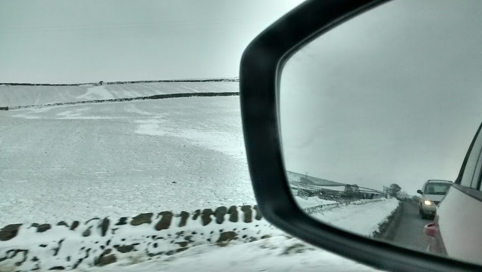 Colour postcards in grey and&nbsp;black