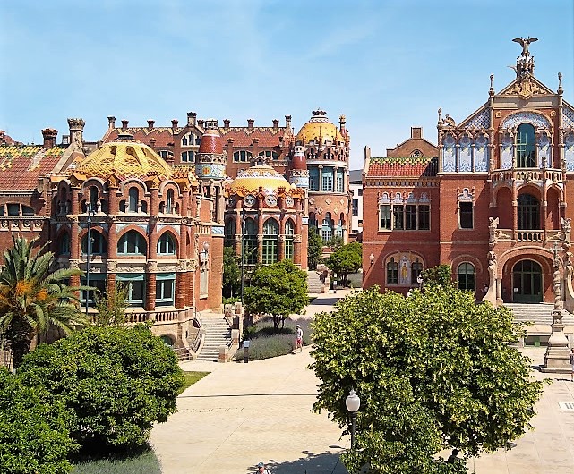 The  Odd Frog or Curious&nbsp;Creature