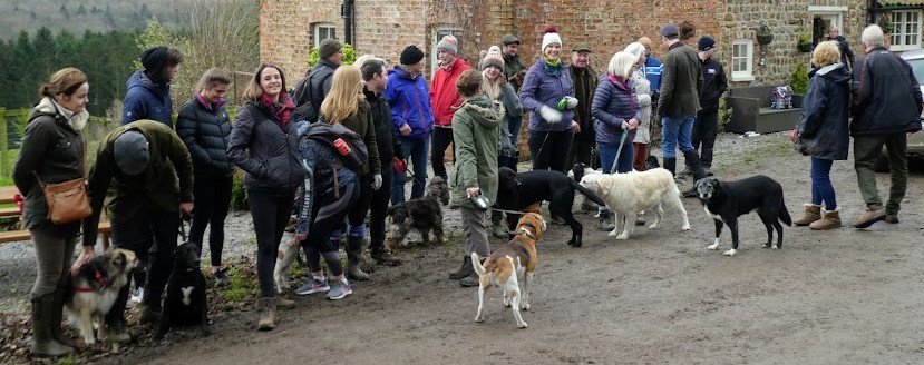 A Parking Place for the Odd Pug, Poodle or Pit&nbsp;Bull