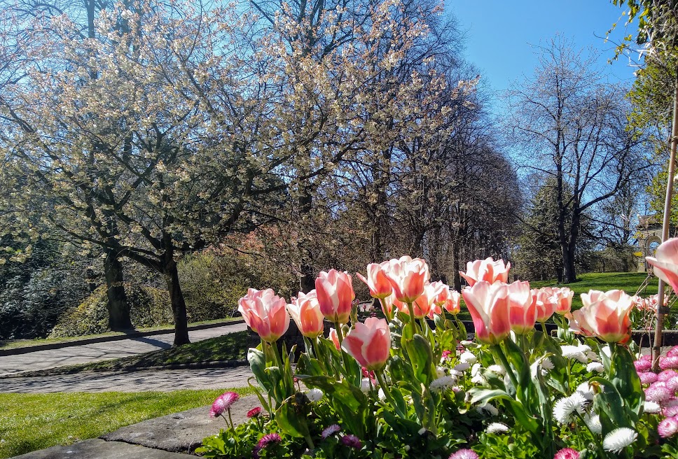 As April ends, can spring be&nbsp;…