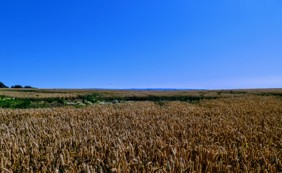 Just two stories from&nbsp;Ukraine